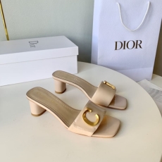 Christian Dior Slippers